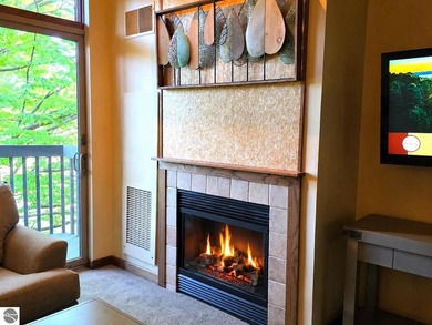 This 594 sq. ft. 1-bedroom suite overlooking the Cedar River - photo 4