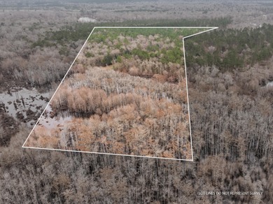 Leaf River Lot For Sale in Mc Lain Mississippi