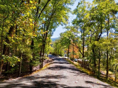 Dock-Able Cherokee Lakefront Lot - photo 16