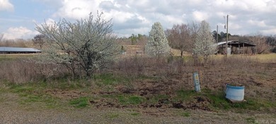 (private lake, pond, creek) Home For Sale in Oden Arkansas