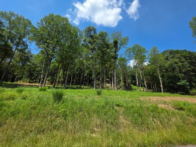 Land you can spread out on! - photo 4