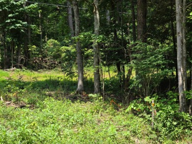 Land you can spread out on! - Lake Lot For Sale in Falls Of Rough, Kentucky