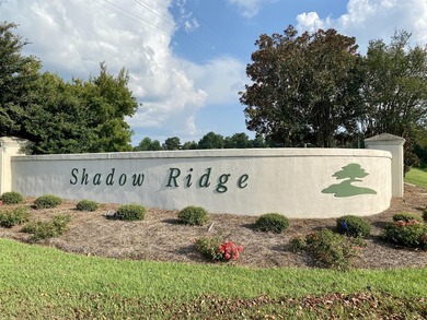 BUILD YOUR DREAM HOUSE in the gorgeous SHADOW RIDGE Golf - photo 9