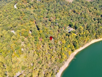 Dock-Able Cherokee Lakefront Lot - photo 11