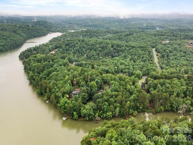 Enjoy mountain views at home and lake access from your very own - photo 30
