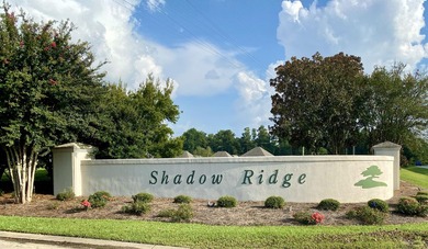 BUILD YOUR DREAM HOUSE in the gorgeous SHADOW RIDGE Golf - photo 3