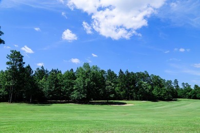 BUILD YOUR DREAM HOUSE in the gorgeous SHADOW RIDGE Golf - photo 6