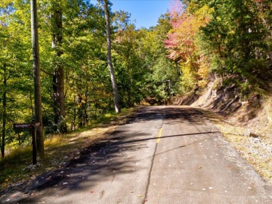 Dock-Able Cherokee Lakefront Lot - photo 5