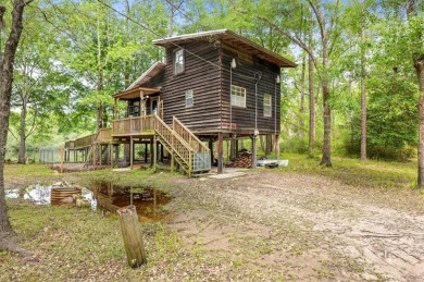 (private lake, pond, creek) Home For Sale in Hortense Georgia
