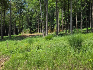 Land you can spread out on! - photo 2