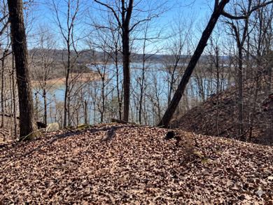 Dock-Able Cherokee Lakefront Lot - photo 2