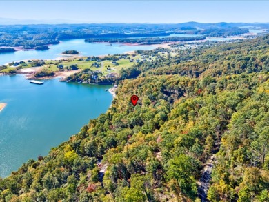 Dock-Able Cherokee Lakefront Lot - photo 24