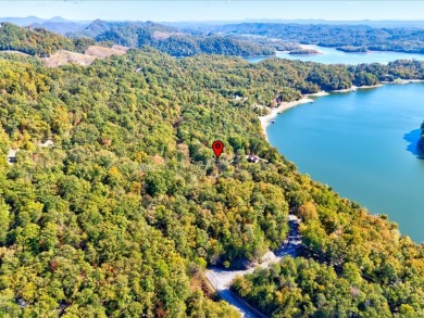 Dock-Able Cherokee Lakefront Lot - photo 19