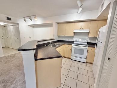 Investors welcome. Discover exceptional value in this 1st-floor - photo 4