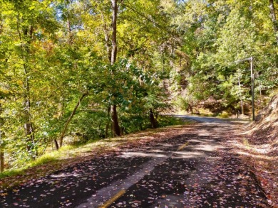 Dock-Able Cherokee Lakefront Lot - photo 10