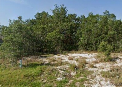 Lake Marion - Polk County Lot For Sale in Poinciana Florida