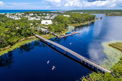 Beautiful Phase 5 homesite in Watercolor. The newest section of - photo 12