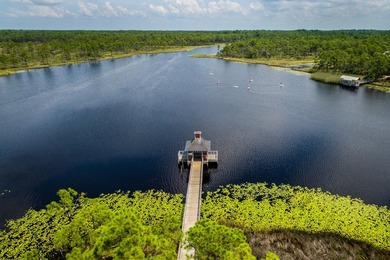 Beautiful Phase 5 homesite in Watercolor. The newest section of - photo 13
