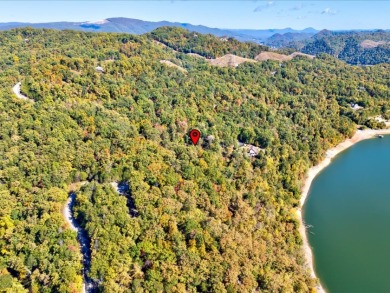 Dock-Able Cherokee Lakefront Lot - photo 20