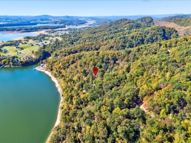 Dock-Able Cherokee Lakefront Lot - photo 23