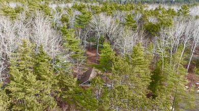 Lake Home For Sale in Grand Lake Stream Plt, Maine