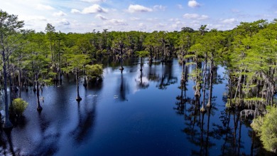 (private lake, pond, creek) Acreage For Sale in Monticello Florida