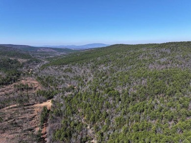 For Sale: Timberland Investment Property on Poteau Mountain - photo 2