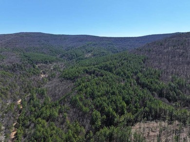 For Sale: Timberland Investment Property on Poteau Mountain - photo 3