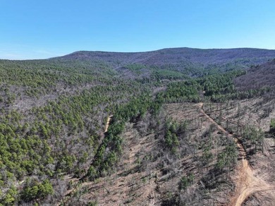 For Sale: Timberland Investment Property on Poteau Mountain - photo 4