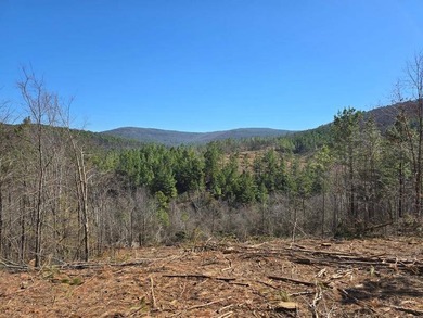 For Sale: Timberland Investment Property on Poteau Mountain - photo 6