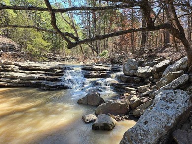 For Sale: Timberland Investment Property on Poteau Mountain - photo 8