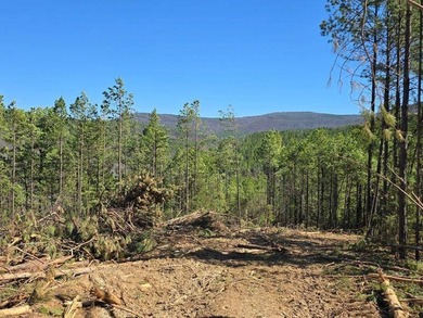 For Sale: Timberland Investment Property on Poteau Mountain - photo 9
