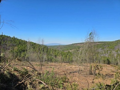 For Sale: Timberland Investment Property on Poteau Mountain - photo 10