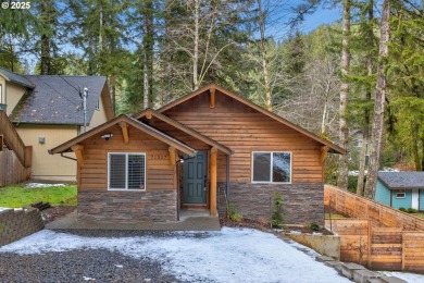 Lake Home For Sale in Birkenfeld, Oregon