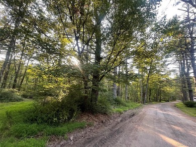 Nestled in nature amidst bucolic country roads and fern-lined - photo 3