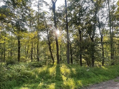 Nestled in nature amidst bucolic country roads and fern-lined - photo 4