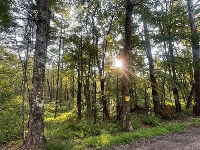 Nestled in nature amidst bucolic country roads and fern-lined - photo 5