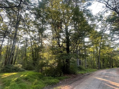 Nestled in nature amidst bucolic country roads and fern-lined - photo 6