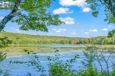 Lake Acreage For Sale in Richmondville, New York