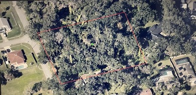 Rare find! Nearly 2 uncleared acres in the heart of Port Orange - photo 1