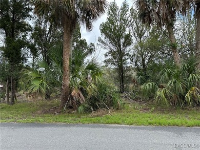 Homosassa River Lot For Sale in Homosassa Florida