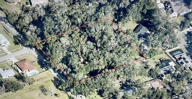 Rare find! Nearly 2 uncleared acres in the heart of Port Orange - photo 3
