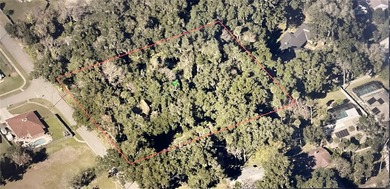 Rare find! Nearly 2 uncleared acres in the heart of Port Orange - photo 4