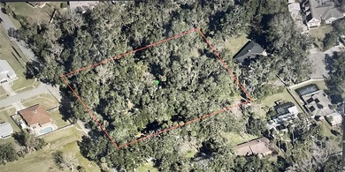 Rare find! Nearly 2 uncleared acres in the heart of Port Orange - photo 5