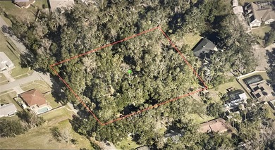 Rare find! Nearly 2 uncleared acres in the heart of Port Orange - photo 6