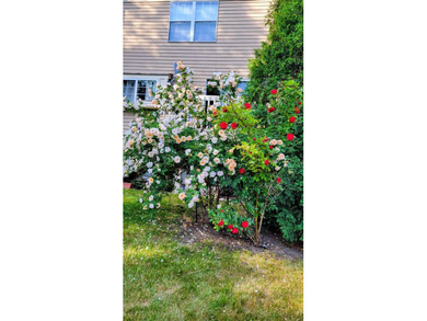 Welcome to this spacious and well-maintained 3-bedroom, 2.5-bath - photo 31