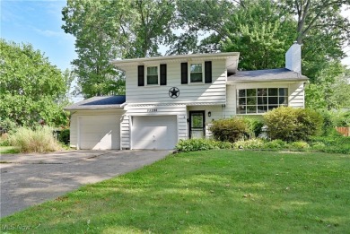 Lake Home ActiveUnderContr in Avon Lake, Ohio