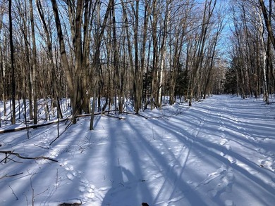 Lake Micigan - Door County Lot For Sale in Egg Harbor Wisconsin