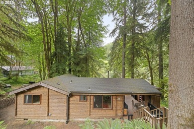 Lake Home For Sale in Birkenfeld, Oregon