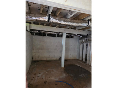This recently renovated and tastefully updated 3 bedroom, 1 bath - photo 9